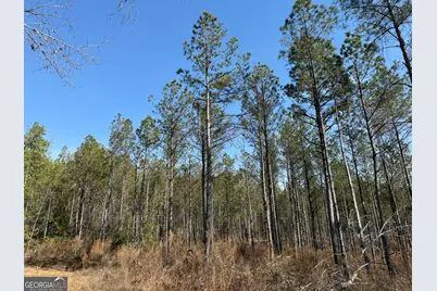 001 Allen Road, Musella, GA 31066 - Photo 2