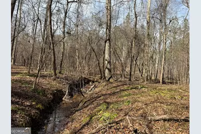 001 Allen Road, Musella, GA 31066 - Photo 8