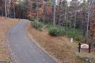 120 Aska Forest Trail, Blue Ridge, GA 30513 - Photo 56