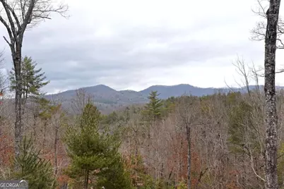 120 Aska Forest Trail #5, Blue Ridge, GA 30513 - Photo 4