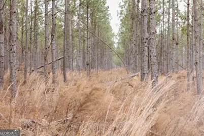 0 Bunn Store Road #TRACT 1, Midville, GA 30441 - Photo 2