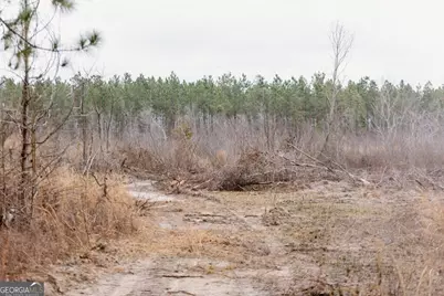 0 Bunn Store Road #TRACT 1, Midville, GA 30441 - Photo 12