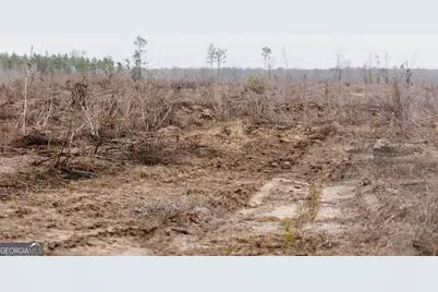 0 Bunn Store Road #TRACT 1, Midville, GA 30441 - Photo 8