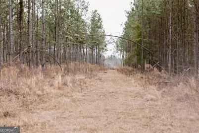 0 Bunn Store Road #TRACT 1, Midville, GA 30441 - Photo 6