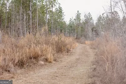 0 Bunn Store Road #TRACT 1, Midville, GA 30441 - Photo 4