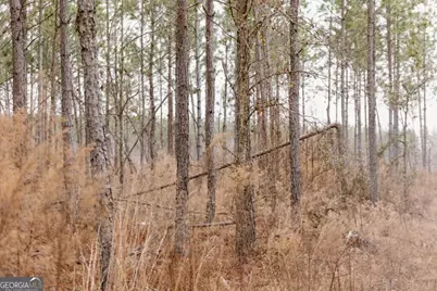 0 Bunn Store Road #TRACT 1, Midville, GA 30441 - Photo 10