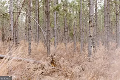 0 Bunn Store Road #TRACT 1, Midville, GA 30441 - Photo 14