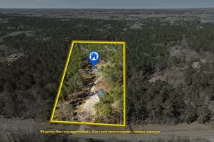 247 Parks Mill Rd, Buckhead, GA 30625 - Photo 52