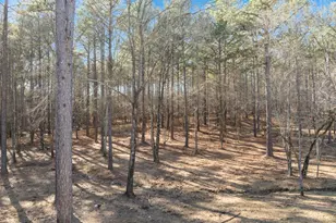 247 Parks Mill Rd, Buckhead, GA 30625 - Photo 50