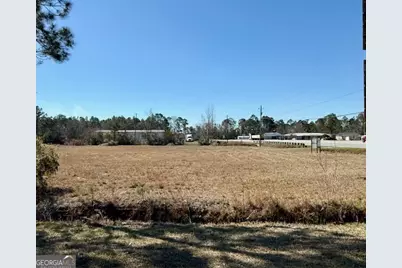 0 Hatch Pkwy N, Baxley, GA 31513 - Photo 2