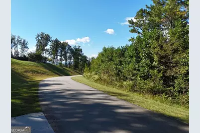 Lot55 Thirteen Hundred, Blairsville, GA 30512 - Photo 14