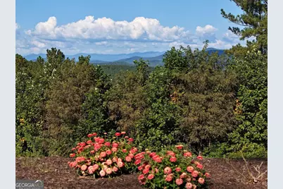 Lot55 Thirteen Hundred, Blairsville, GA 30512 - Photo 6