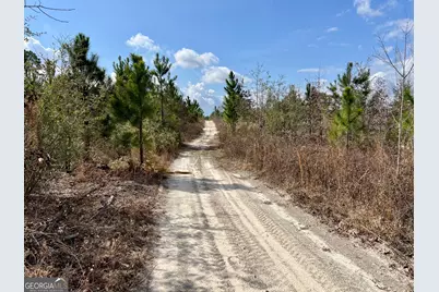 0 Cochran Hwy, Eastman, GA 31023 - Photo 6
