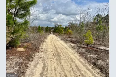 0 Cochran Hwy, Eastman, GA 31023 - Photo 14