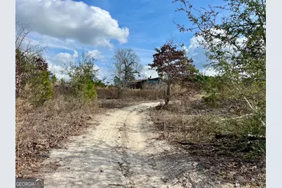 0 Cochran Hwy, Eastman, GA 31023 - Photo 8