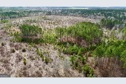 0 Cochran Hwy, Eastman, GA 31023 - Photo 24