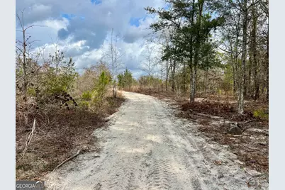 0 Cochran Hwy, Eastman, GA 31023 - Photo 12