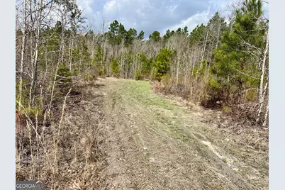 0 Cochran Hwy, Eastman, GA 31023 - Photo 10