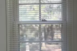 256 Frederick Dr, Athens, GA 30607 - Photo 12