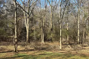 256 Frederick Dr, Athens, GA 30607 - Photo 34