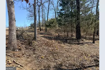 4012 Paulette Drive, Monroe, GA 30656 - Photo 18