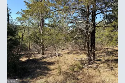 4012 Paulette Drive, Monroe, GA 30656 - Photo 16