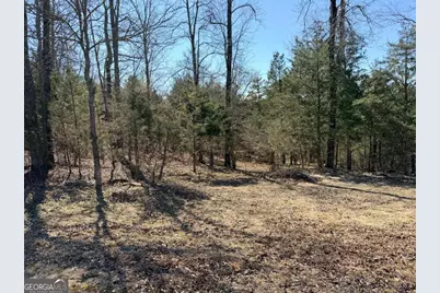 4012 Paulette Drive, Monroe, GA 30656 - Photo 2