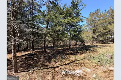 4012 Paulette Drive, Monroe, GA 30656 - Photo 12