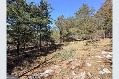 4012 Paulette Drive, Monroe, GA 30656 - Photo 10