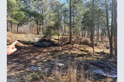 4012 Paulette Drive, Monroe, GA 30656 - Photo 4