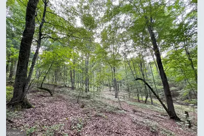 809 1/2 Probasco Street N #LOT 1 &amp; 2: 31.93 AC, La Fayette, GA 30728 - Photo 12
