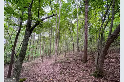 809 1/2 Probasco Street N #LOT 1 &amp; 2: 31.93 AC, La Fayette, GA 30728 - Photo 14