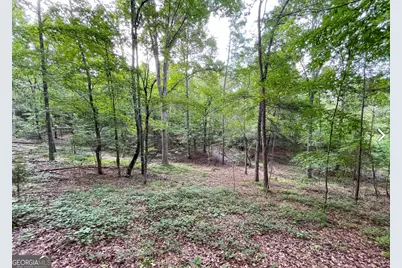 809 1/2 Probasco Street N #LOT 1 &amp; 2: 31.93 AC, La Fayette, GA 30728 - Photo 8