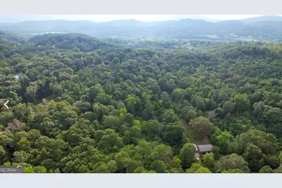 809 1/2 Probasco Street N #LOT 1 &amp; 2: 31.93 AC, La Fayette, GA 30728 - Photo 16