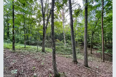 809 1/2 Probasco Street N #LOT 1 &amp; 2: 31.93 AC, La Fayette, GA 30728 - Photo 10