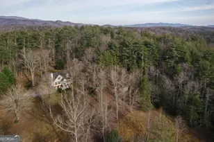 94 Old Pl Dr, Blue Ridge, GA 30513 - Photo 64