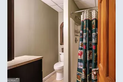 94 Old Place Drive, Blue Ridge, GA 30513 - Photo 52