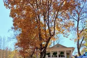 720 Guy Jarrard Rd, Dahlonega, GA 30533 - Photo 6