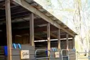 720 Guy Jarrard Rd, Dahlonega, GA 30533 - Photo 8