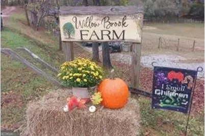 720 Guy Jarrard Road, Dahlonega, GA 30533 - Photo 12