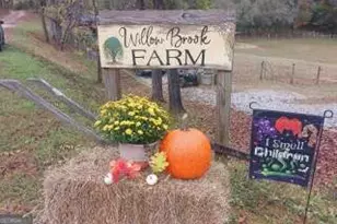 720 Guy Jarrard Rd, Dahlonega, GA 30533 - Photo 12