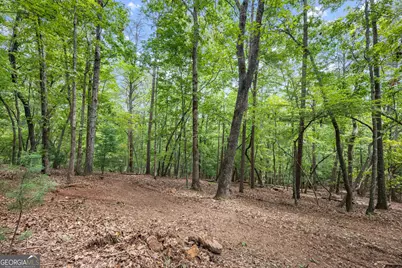 486 Laurel Circle, Dahlonega, GA 30533 - Photo 38