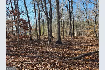 3879 Caney Head Road, Franklin, GA 30217 - Photo 48