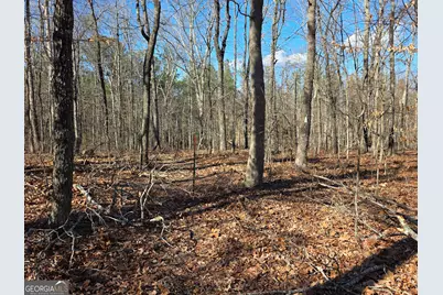 3879 Caney Head Road, Franklin, GA 30217 - Photo 40