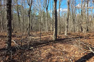 3879 Caney Head Rd, Franklin, GA 30217 - Photo 40