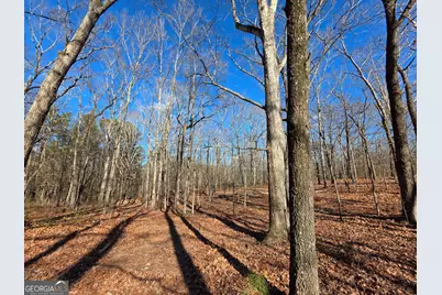 3879 Caney Head Road, Franklin, GA 30217 - Photo 34