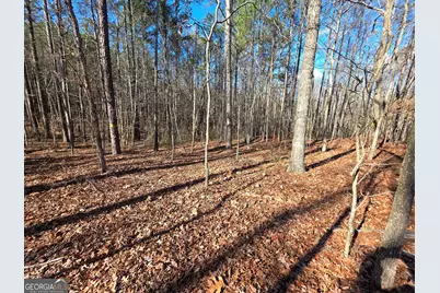 3879 Caney Head Road, Franklin, GA 30217 - Photo 38