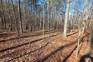 3879 Caney Head Rd, Franklin, GA 30217 - Photo 38