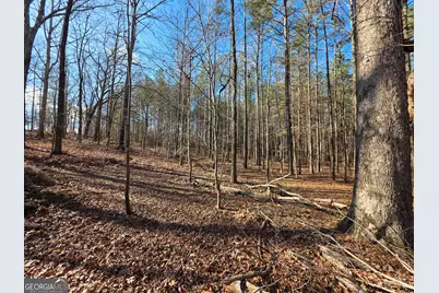 3879 Caney Head Road, Franklin, GA 30217 - Photo 42