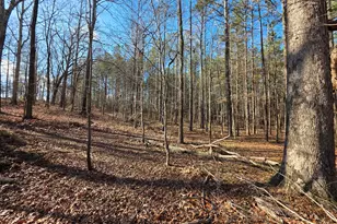3879 Caney Head Rd, Franklin, GA 30217 - Photo 42